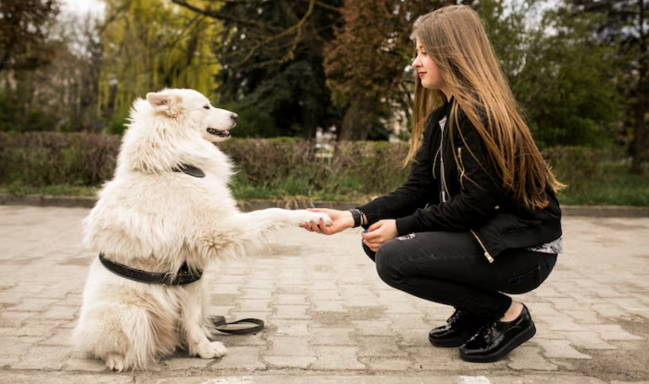 Pet